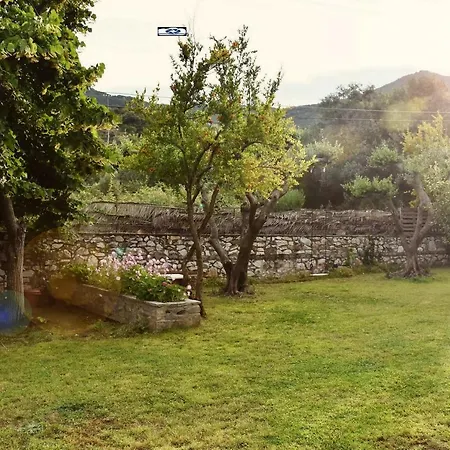 Makis & Dimitra House *